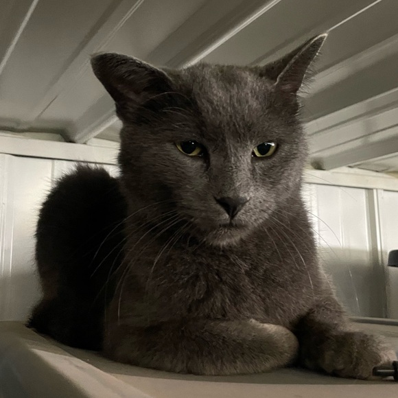 Meet your Posher! - Picture 1 of 1